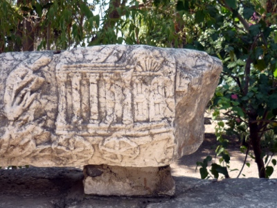 ArchePerdue